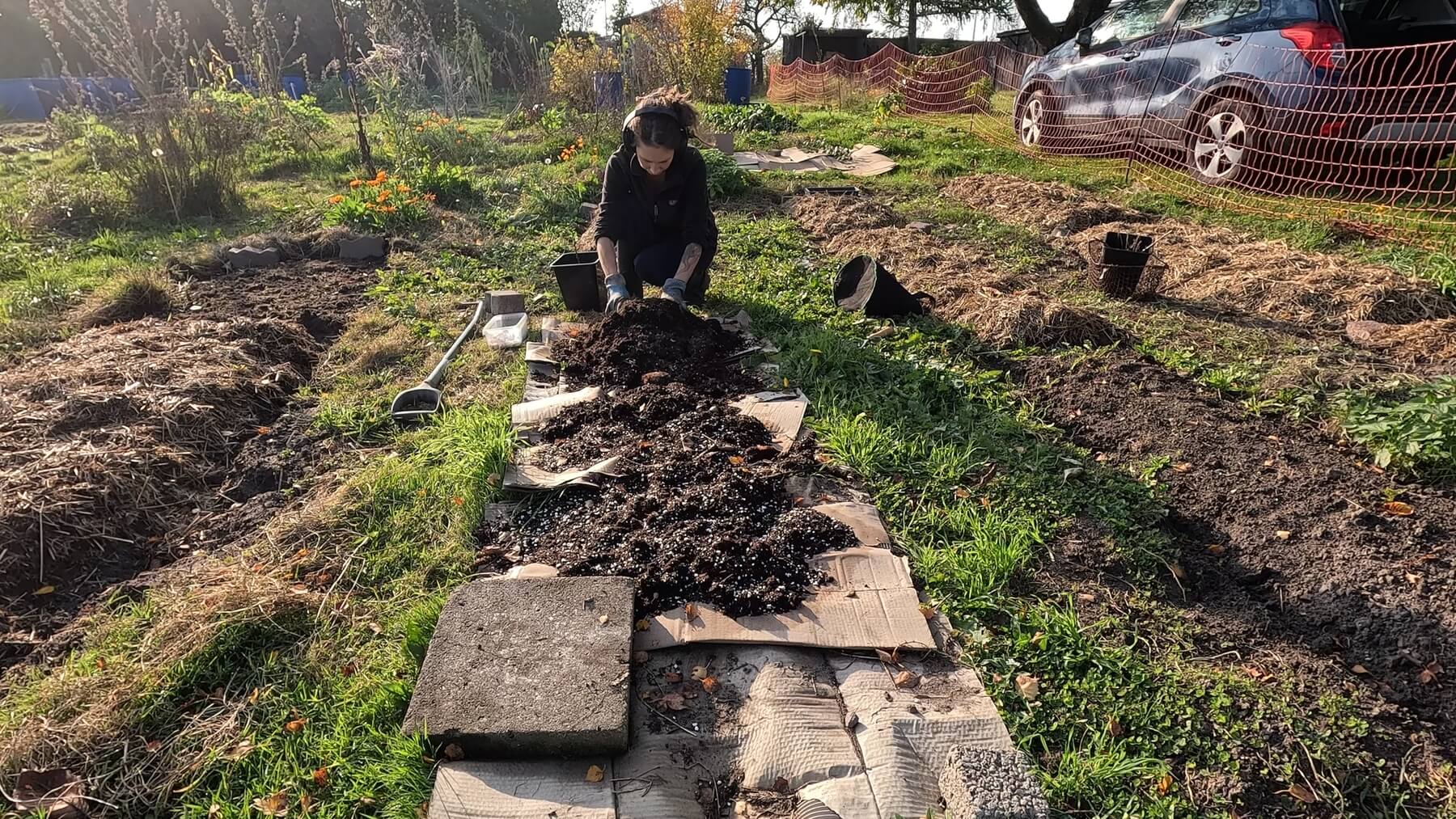 140A Fluffy harvesting and planting